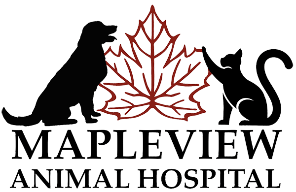Mapleview Animal Hospital